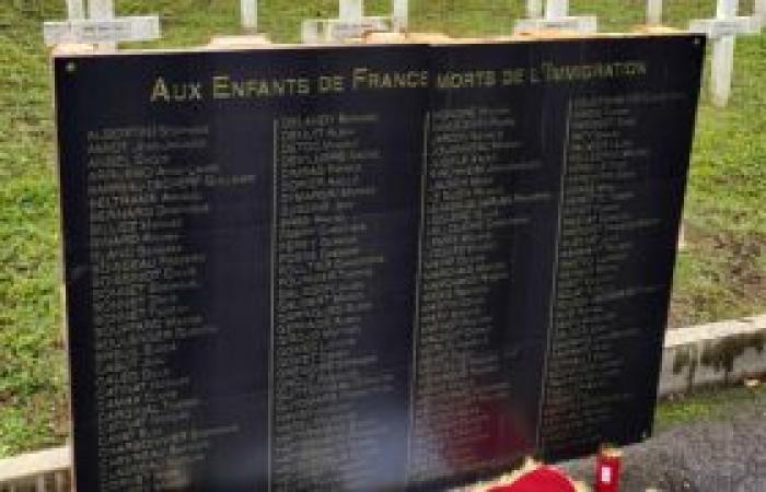 Action française places a false stele at the Mulhouse necropolis, a complaint filed