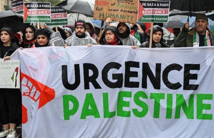 War in the Middle East: hundreds of people demonstrate in Paris in support of Palestine and Lebanon