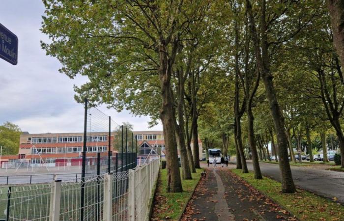 A man lynched by around twenty individuals in the Argentina ZUP in Beauvais: “He was found in a pool of blood”