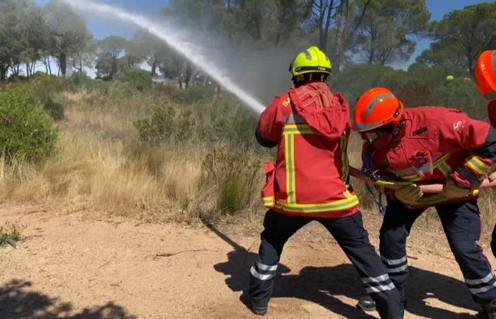 the government launches a campaign to remind people of the obligation to clear bushes