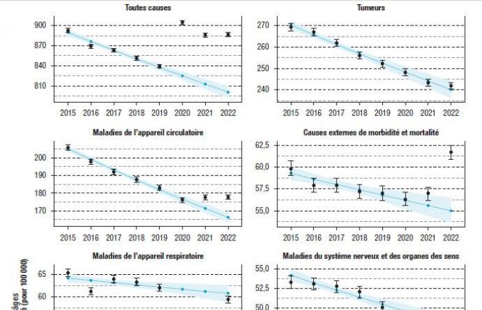 Mortality in France: major causes and recent trends