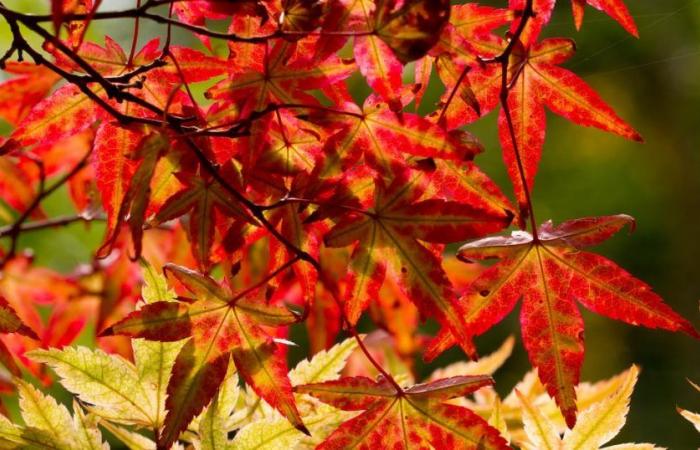 Warmer weather forecast for NI after a chilly weekend – The Irish News