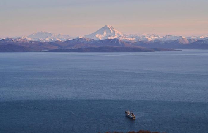 Russia: man found alive at sea after two months adrift