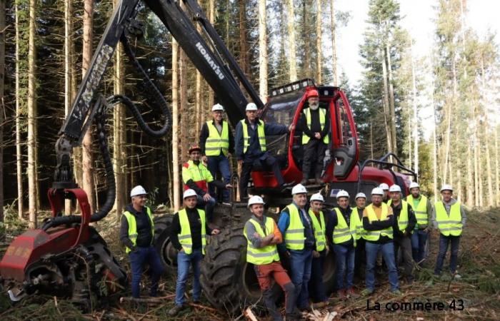 The Region’s wood-forest plan put into practice with forestry work companies