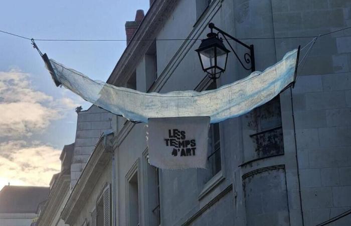 Hammocks hanging in this town in Maine-et-Loire