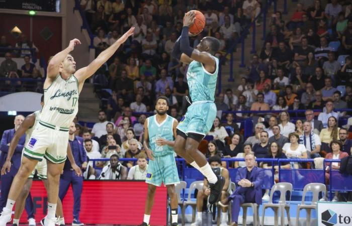 Basketball. Coupe de France (32nd finals). Elan Béarnais offers itself an anthology Clasico