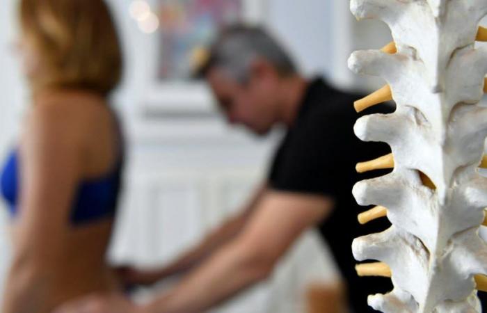 Besançon. Doubs chiropractors mobilized for World Spine Day