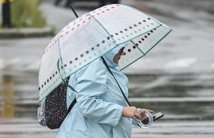 Pedestrians distracted by their cell phones are at much greater risk of accidents