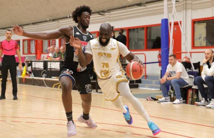 Basketball – Coupe de France: the STB exploded in flight against Tours