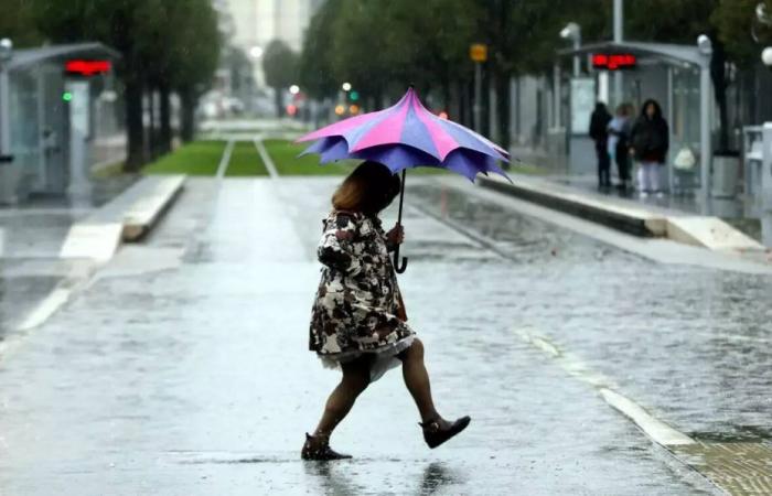 Orange vigilance for thunderstorms and rain-floods renewed in the Alpes-Maritimes this Thursday: here is what awaits us