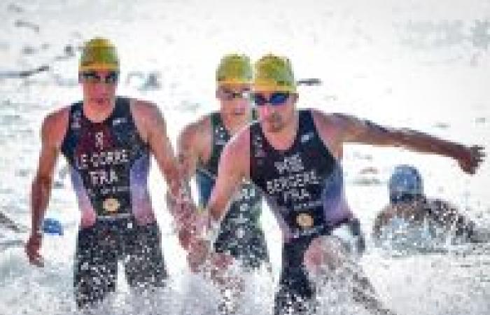 TRIATHLON: WTCS Final and Para Triathlon World Championship Torremolinos, podiums hoped for in all races