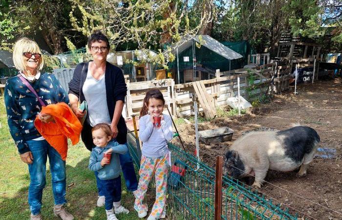 Fun activities at the Boucle d’Or farm