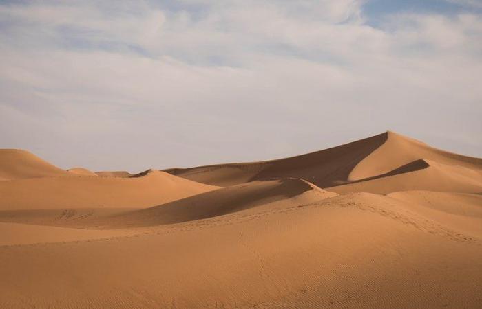 IN PICTURES. Sahara: after major floods, the largest desert in the world finds itself under water