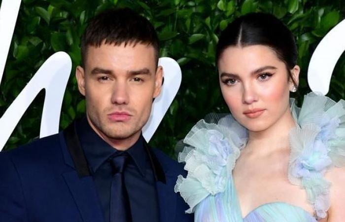 Liam Payne had major legal issues with his ex Maya Henry before her death