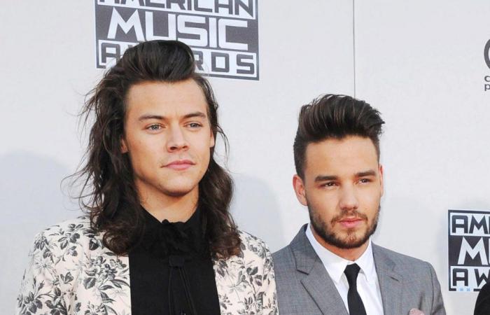 Harry Styles and Liam Payne’s Friendship Through the Years: Timeline