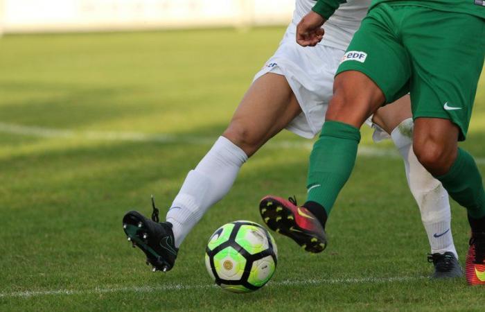 Football: the delegate suffers a cardiac arrest in the middle of a Coupe de France match, a player present on the field helps him