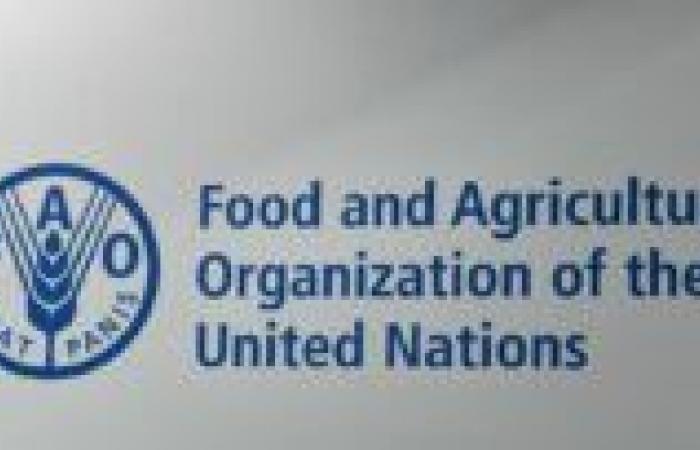 Morocco and FAO sign several agreements