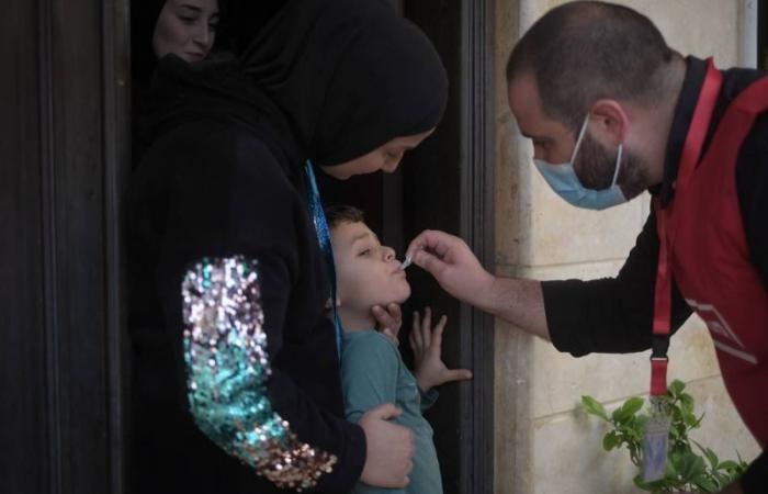 Lebanon: “very high risk of spread” of cholera according to WHO