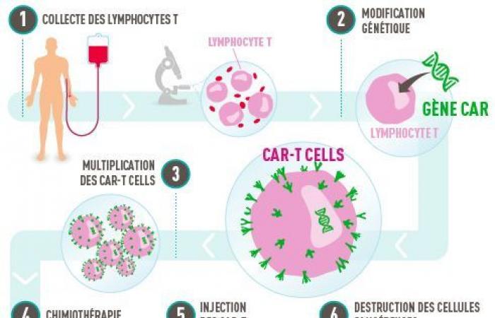 CAR-T cells, researchers against cancer: episode /3 of the New Therapies podcast