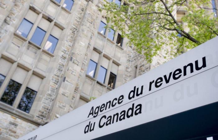 330 Canada Revenue Agency employees fired for Canada Emergency Response Benefit (CERB) fraud during pandemic