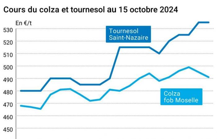 COTidienne | Oilseeds – Fall in rapeseed and soybean prices on world markets