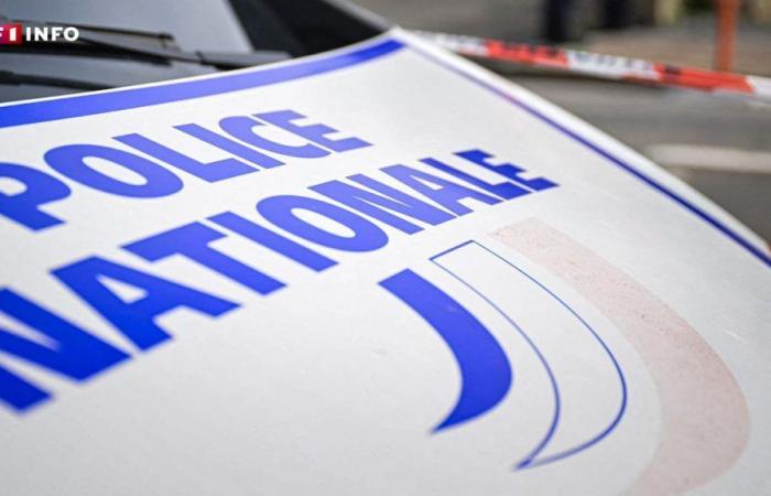 Marseille: nine alleged members of the DZ Mafia in police custody for a double murder