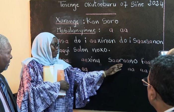 Mauritania: Fulani, Soninké, Wolof: national languages ​​enter schools