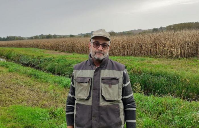 The blues of Charente farmers