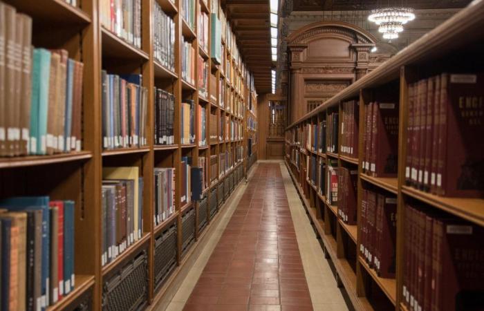 “Small jobs for a palace”, the librarian who dreamed of a book mausoleum