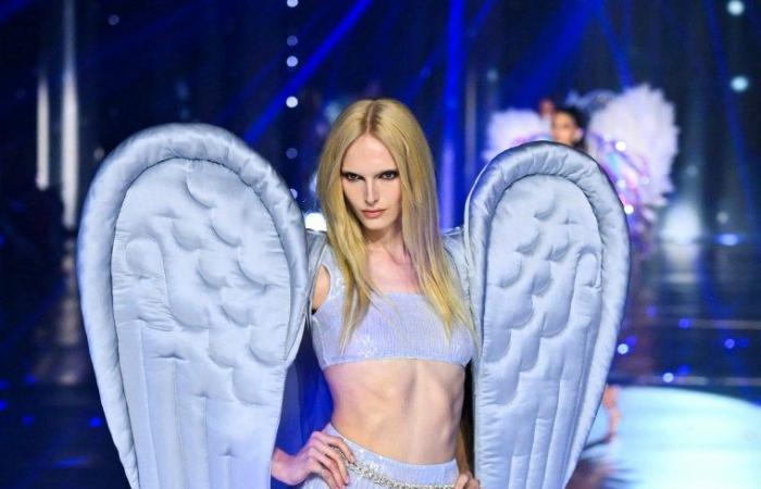 Transgender models featured in Victoria’s Secret Fashion Show