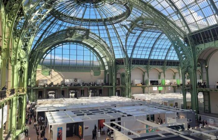 At the Grand Palais, Art Basel Paris takes it up a notch