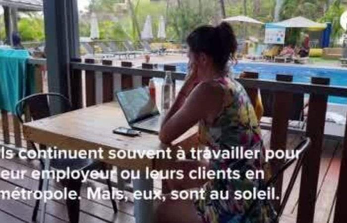 TESTIMONIALS. They left France to telework in Reunion