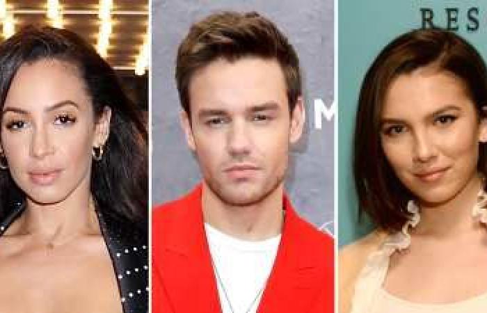 Liam Payne and Kate Cassidy’s Relationship Timeline