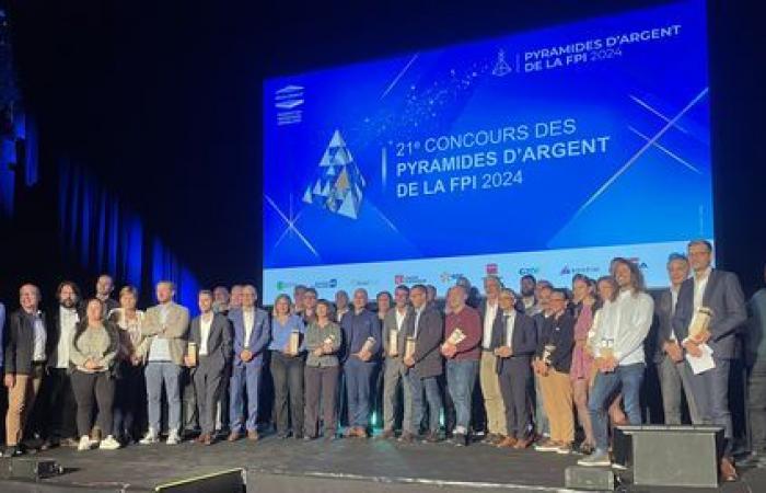 “The archipelago”, regional grand prize for the silver pyramids of the FPI Lyon