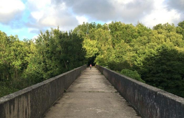 A young woman found hanged in Cotentin, an investigation opened