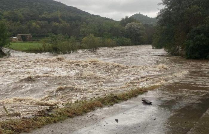 VIDEOS – Rivers in flood in Gard and Lozère, bridges closed and some submerged