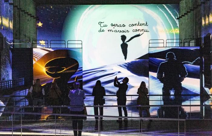 Video. The “Little Prince”, “like a little film” at the Bassins des Lumières in Bordeaux