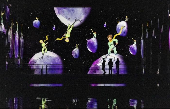 Video. The “Little Prince”, “like a little film” at the Bassins des Lumières in Bordeaux