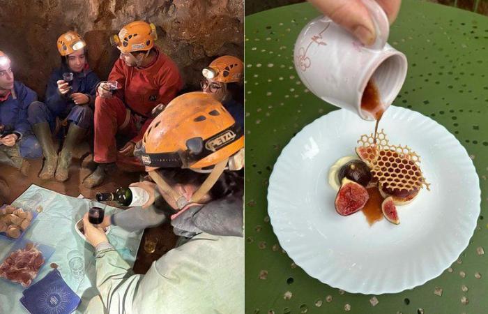 Drink wine underground and in all the sauces: in Aveyron, a “fascinating weekend” for the taste buds