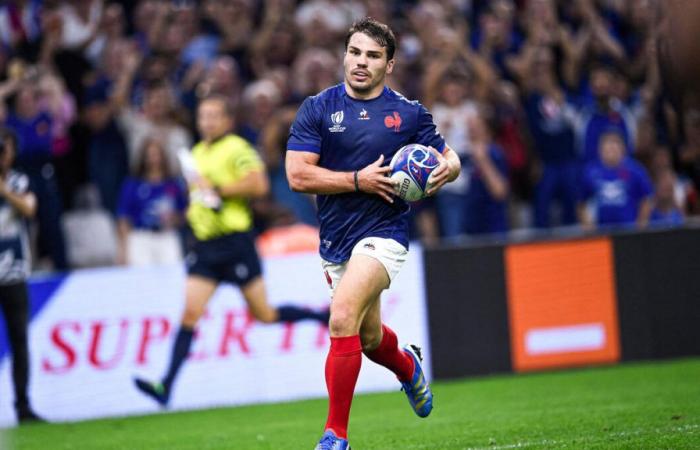 XV of France: are there any places left for the matches against Japan, New Zealand and Argentina?