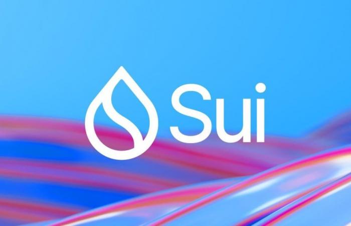 SUI Stock Plummets as Sui Foundation Faces $400 Million Insider Trading Charges