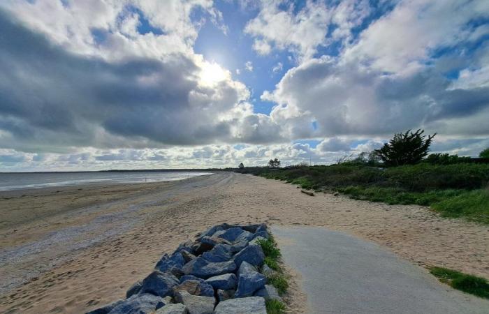 it is once again forbidden to collect mussels on this beach in Calvados