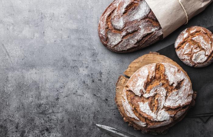 Wholemeal bread is actually worse than white bread