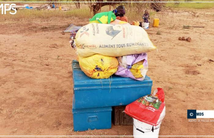 SENEGAL-CRUE-IMPACT / Floods in Bélli Diallo: affected populations in search of shelter – Senegalese press agency