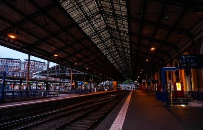 several train lines at a standstill