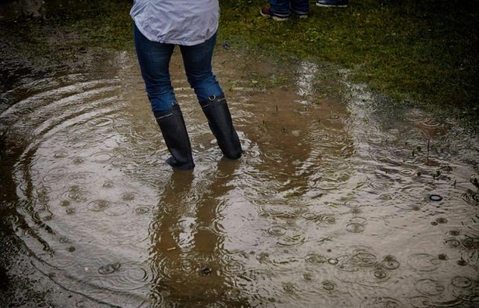 Orange flood alert in the Pyrénées-Atlantiques and Aude · Action by farmers in Haute-Garonne · Toulouse “consecrated” last night by the Catholic Church