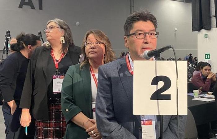 Child protection: AFN leaders vote against $47.8 billion deal | Child protection among Aboriginal people