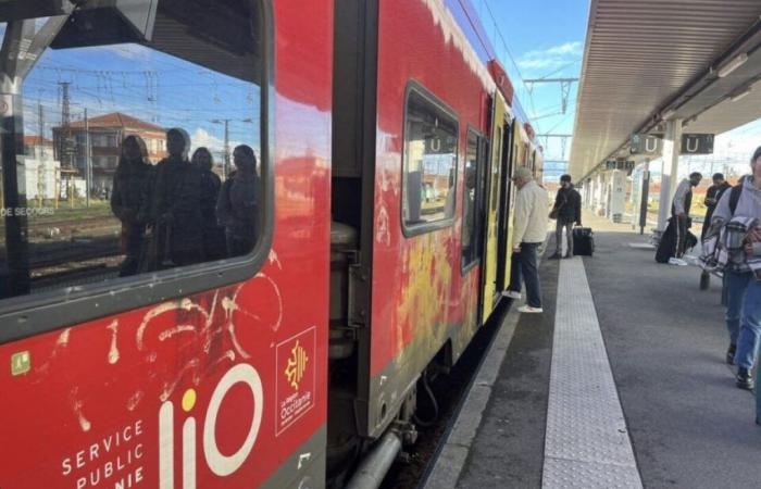 traffic interrupted on several train lines departing from Toulouse