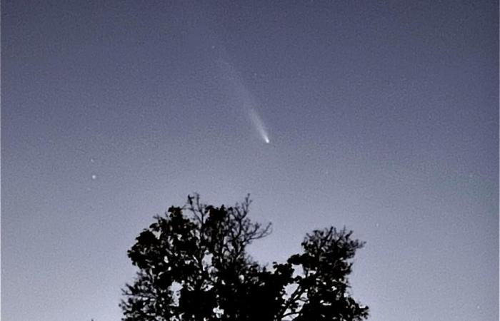 A comet visible this week