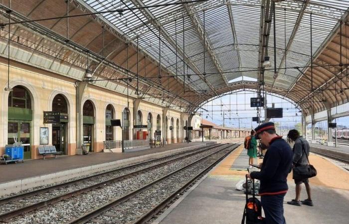 Storm Leslie: several SNCF lines cut north and east of Toulouse